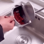 🎁 Kraftig handjuicepress (färsk juice på några sekunder, ingen kladd)