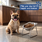 🥣🐱🐶 50 % RABATT! 15° Lutande Matskål för Katter & Hundar – Naturligare Ätposition & Skonsammare Design ✨