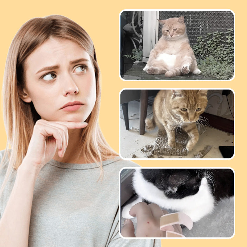 🐭 Hiirilelut kissoille ja koirille