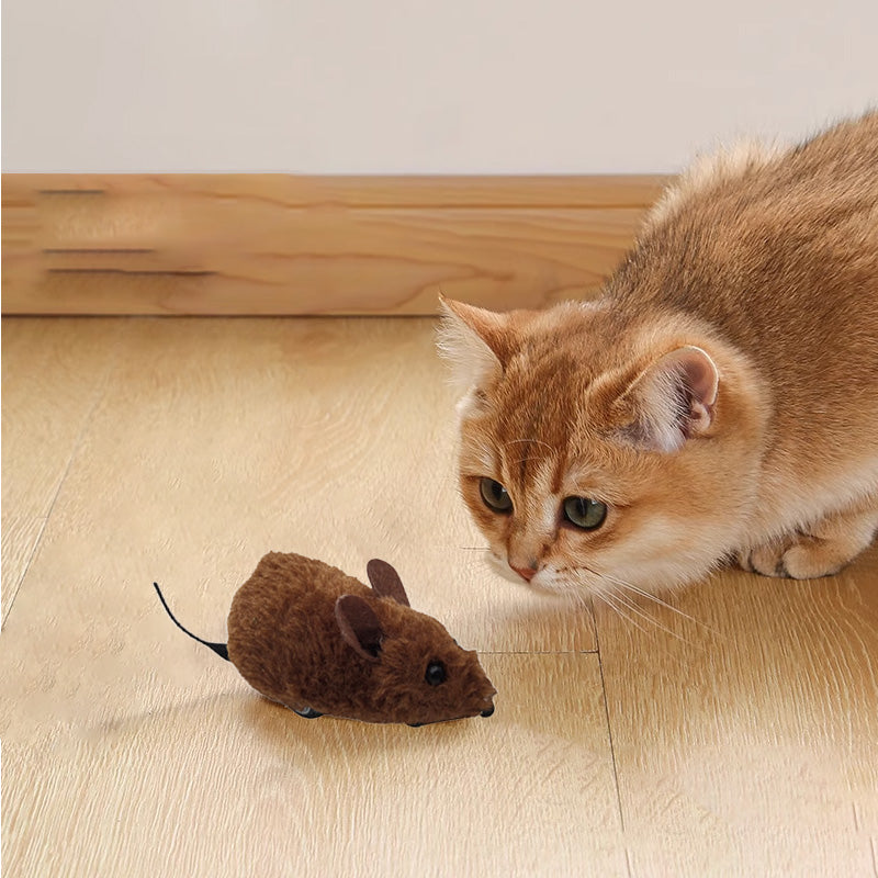 🐭 Hiirilelut kissoille ja koirille