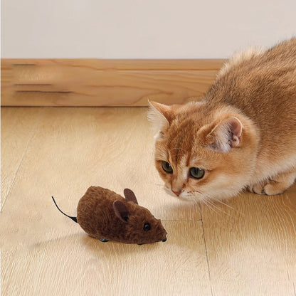 🐭 Hiirilelut kissoille ja koirille